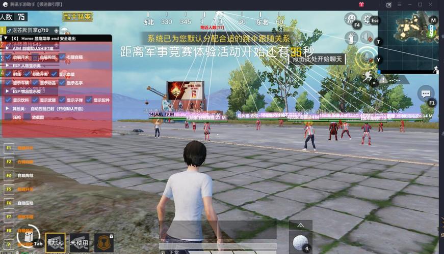 和平精英【锦鲤内核】辅助外挂